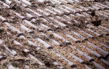 Broadmoor Common roof cleaning companies